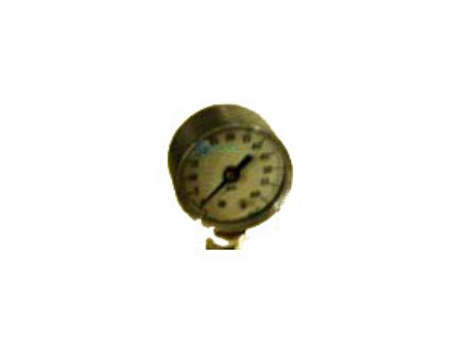 Neptune-Benson CCFG Filter Gauge | 15023024PR