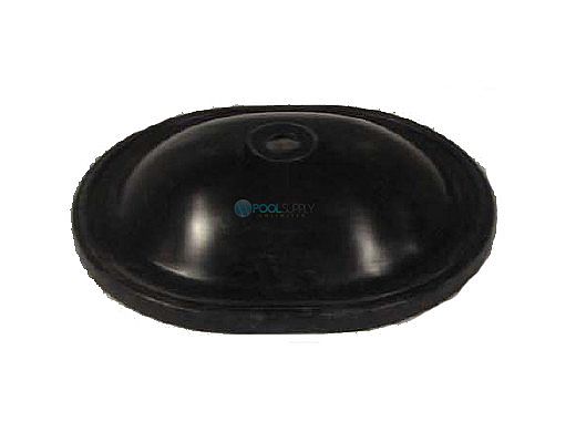 Neptune-Benson CCFG Filter Legacy Lid | 11072