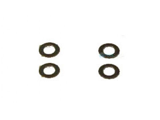 Neptune-Benson CCFG Filter Flat Washer .75" | 655S12WSHR