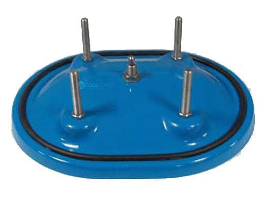 Neptune-Benson CCFG Filter Manhole Cover | 170DMCVRP2