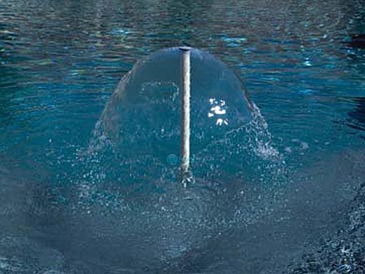 Pentair In-Floor formerly A&A Manufacturing SplashDown Complete | 22" Water Lilly | White | 554290 | 580128