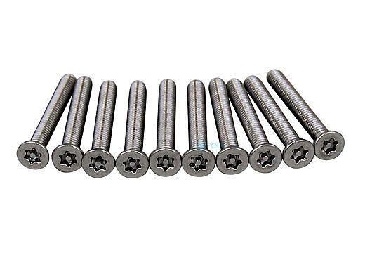 Pentair In-Floor formerly A&A Manufacturing AVSC Stainless Steel 316 Screws | Set of 10 with Tool | 559656 | 295314