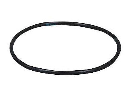 Pentair In-Floor formerly A&A Manufacturing LeafVac Union O-Ring | 552913 | 219400