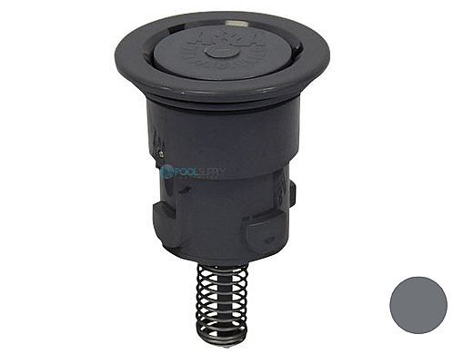 Pentair In-Floor formerly A&A Manufacturing Paramount Pool Valet PVR 1/4" Retro Internal | Gray | 567541 236033