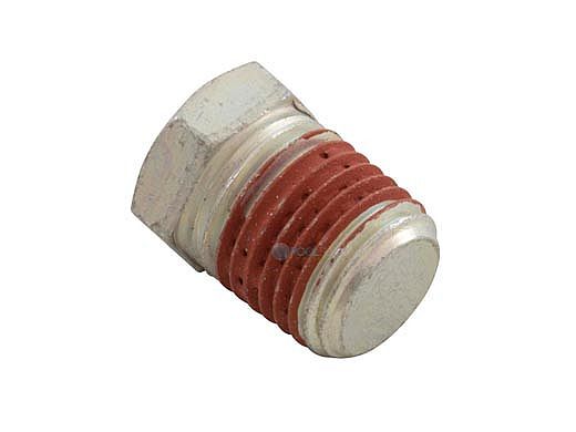 Pentair .25" NPT Hex Head Pipe Plug | U78-941ZPV