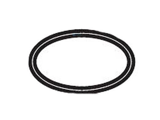 Zodiac Jandy Outlet Tube O-Ring, Filter | R0792000