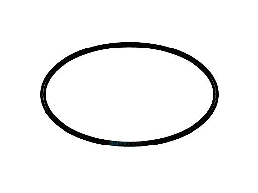 Waterco O-Ring BS268 | 61308