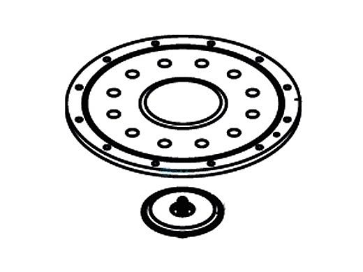 Waterco MC12 Manifold Plate Assembly | 61318