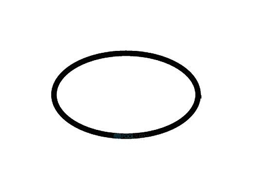 Waterco MultiCyclone and HRV Series Filter O-Ring | W12612