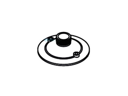 Waterco MultiCyclone 16 Collector Top Plate | 61301