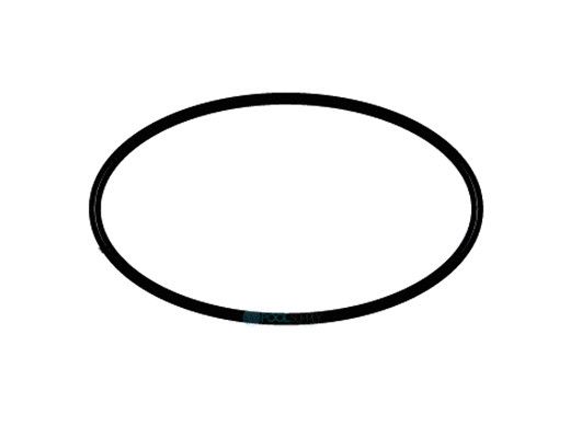 Waterco MultiCyclone O-Ring BS263 | 61307