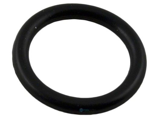 Waterco O-Ring for Drain Plug | 620193