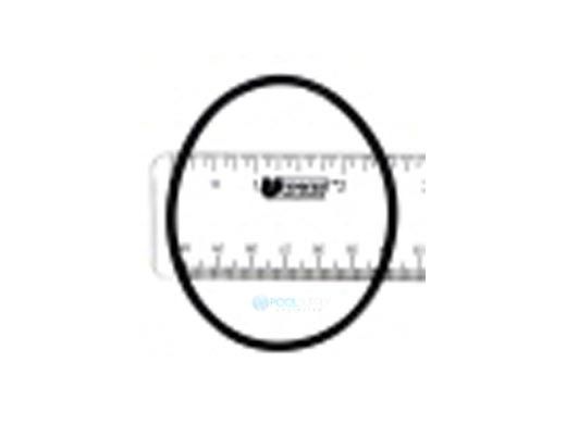 Zodiac Nature2 Professional G Inlet/Outlet O-Ring | W13035