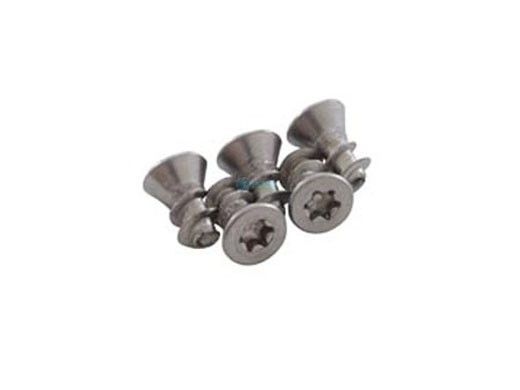 Hayward Screw PT M7 3.14X10MM T25 | Set of 5 | RCX97459