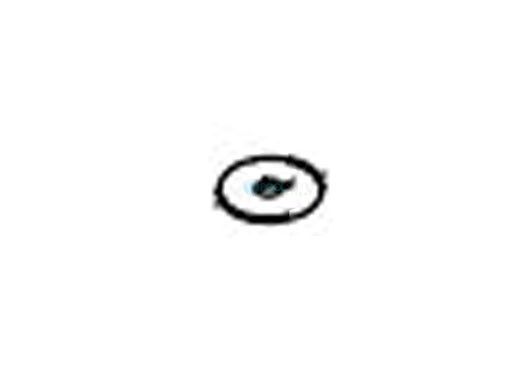 Pentair Fender Washer | 5/16" ID x 1 1/4" OD | 473295