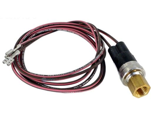 Raypak Low Pressure Switch | H000078