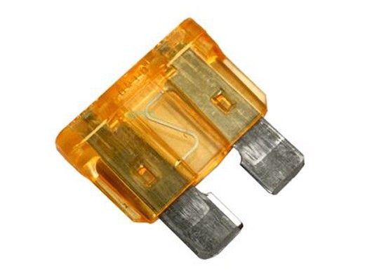 Raypak 5 AMP Fuse | 013733F