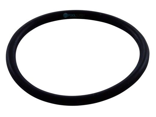 Polaris WMS Upper O-Ring | R0544000