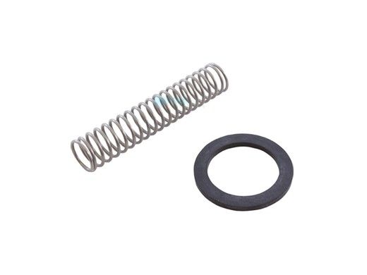 Zodiac Jandy By-pass Valve Spring | R0304500