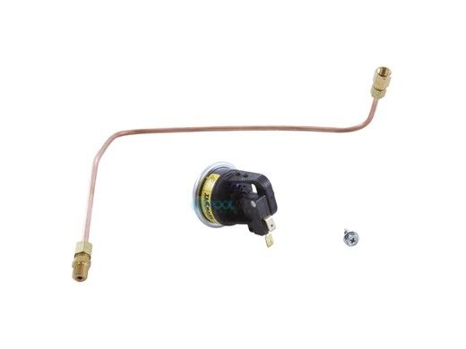 Zodiac Jandy Pressure Switch and Siphon Loop Assembly | R0322900