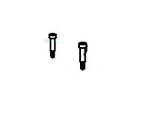 Aqua Products Screw Plastic Size S36 LTCG | 2 per Pack | AP2692