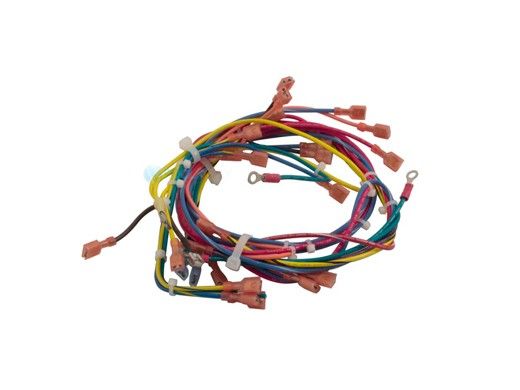 Raypak Wire Harness DSI | 011608F