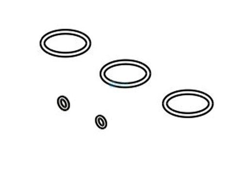 Raypak O-Ring Seals 5 Kit | 017157F