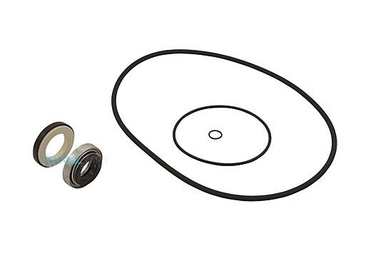 Hayward Seal Set | HCXP6004A