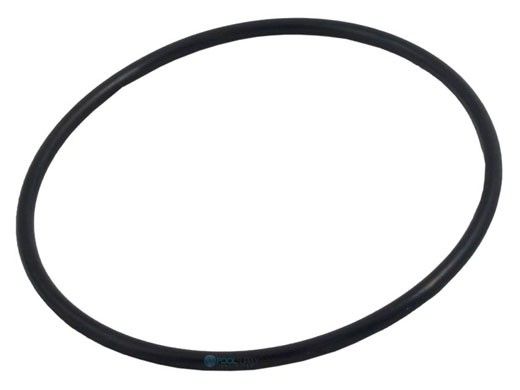 Waterco Oval Lid O-Ring | WMCW02536