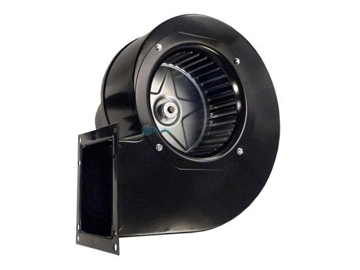 Raypak Blower Combustion Air | 007414F