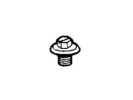 Hayward Cover Retaining Screw | CLX200G