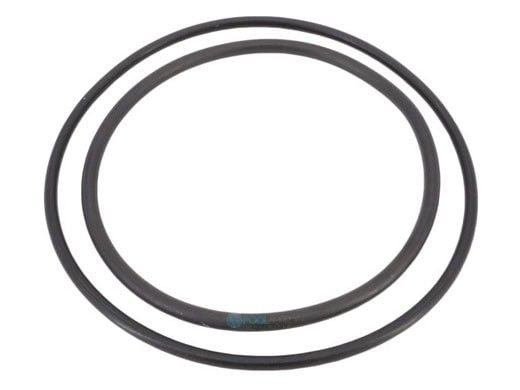 Pentair Boost-Rite O-Ring Kit | ZBR12200