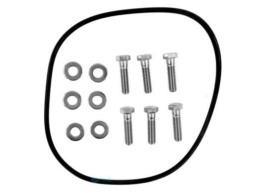Jandy Pro Series Backplate Hardware FHP VS-FHP | R0480500
