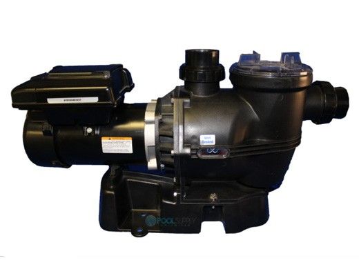 Waterco Infinium Eco V-150 1.65HP Variable Speed Pump | 208/230V Energy-Efficient | 2403100A | 243150A-VS