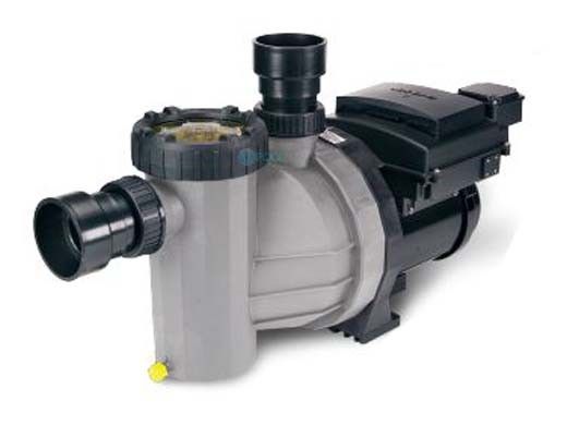 Speck Badu Ecomv/ 72-V Variable Speed Pump | 2.5HP 208-230V 10A | 2072266213