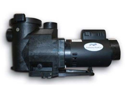 Blue Torrent Inground Pool Pump | 1 1/2 HP 115/230V | 5-AC1556