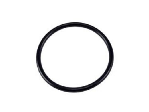 Pentair Max-E-Glas Dura-Glas In-Ground Pump | O-Ring | U9-266
