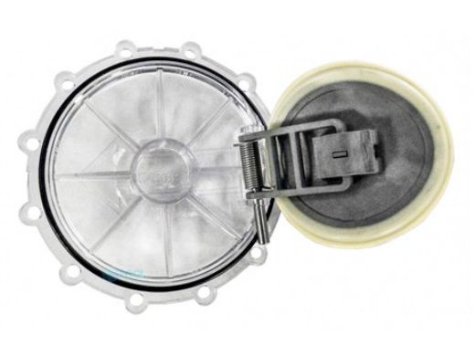 Pentair CPVC FullFloxf Check Valve Replacement Parts | Rebuild Kit | Clear | 270119Z