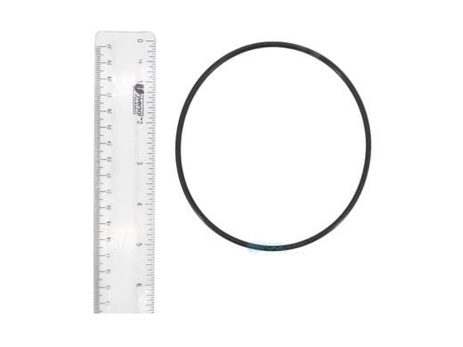 Pentair CPVC FullFloxf Check Valve Replacement Parts | O-Ring 2-248 Buna-N 70 Shore | 270116Z