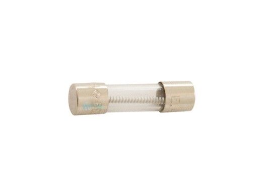 Hayward Fuse | 1 AMP | CAX-20101
