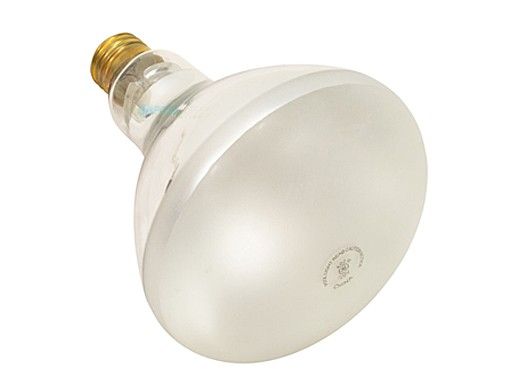 Hayward Bulb | 120V - 400W | SPX0584Z2