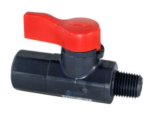 Hayward Asahi Ball Valve | 1/4" | CAX-20254