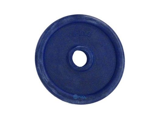 Waterway Slide Valve Replacement Parts | Piston Gasket | 806-1000