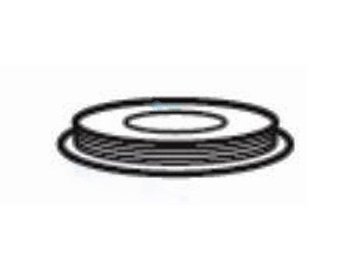 Hayward Swivel Head Bottom Screw Plate MPQ | RCX203505005
