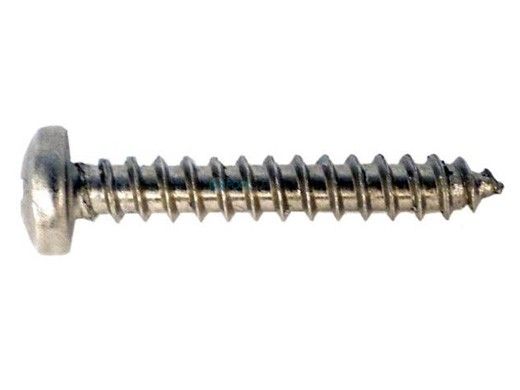 Zodiac MX8/MX6 Type a Thread Forming Screw | R0527200
