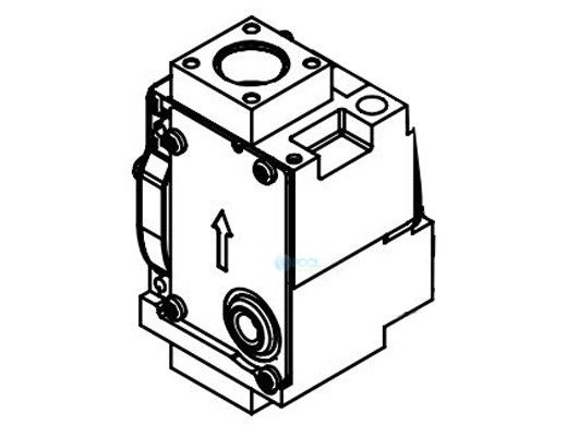 Lochinvar Gas Valve Assembly | 100268033