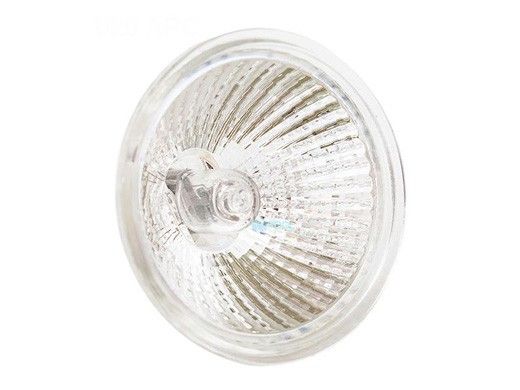 Hayward Halogen Bulb | 2-Pin 75W 12V | SPX0590H