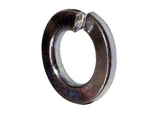 Waterco Multicyclone 1/4" Spring Washer | 645461