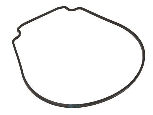 Waterco Pump Body O-Ring | 634070