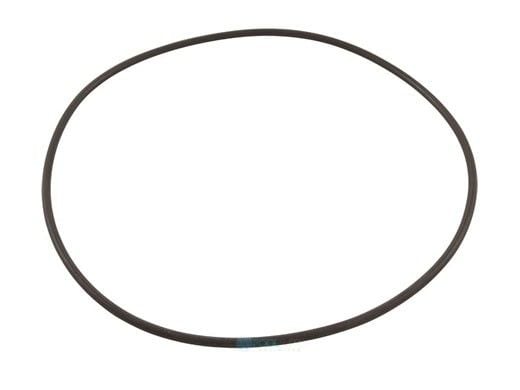 Waterco Strainer Lid O-Ring | 19B5051